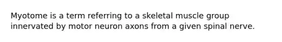 Myotome is a term referring to a skeletal muscle group innervated by motor neuron axons from a given spinal nerve.