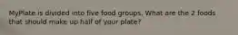 MyPlate is divided into five food groups. What are the 2 foods that should make up half of your plate?