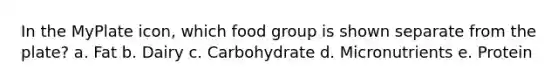 In the MyPlate icon, which food group is shown separate from the plate? a. Fat b. Dairy c. Carbohydrate d. Micronutrients e. Protein