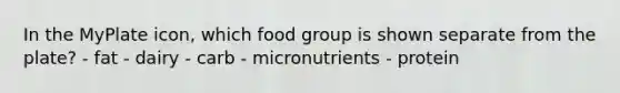 In the MyPlate icon, which food group is shown separate from the plate? - fat - dairy - carb - micronutrients - protein