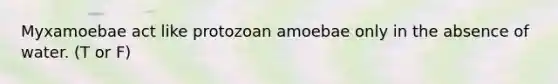 Myxamoebae act like protozoan amoebae only in the absence of water. (T or F)