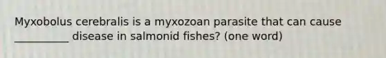 Myxobolus cerebralis is a myxozoan parasite that can cause __________ disease in salmonid fishes? (one word)