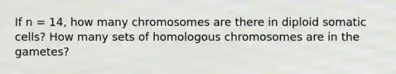 If n = 14, how many chromosomes are there in diploid somatic cells? How many sets of homologous chromosomes are in the gametes?