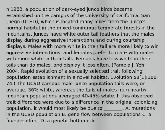 n 1983, a population of dark-eyed junco birds became established on the campus of the University of California, San Diego (UCSD), which is located many miles from the junco's normal habitat in the mixed-coniferous temperate forests in the mountains. Juncos have white outer tail feathers that the males display during aggressive interactions and during courtship displays. Males with more white in their tail are more likely to win aggressive interactions, and females prefer to mate with males with more white in their tails. Females have less white in their tails than do males, and display it less often. (Pamela J. Yeh. 2004. Rapid evolution of a sexually selected trait following population establishment in a novel habitat. Evolution 58[1]:166-74.) The UCSD campus male junco population tails were, on average, 36% white, whereas the tails of males from nearby mountain populations averaged 40-45% white. If this observed trait difference were due to a difference in the original colonizing population, it would most likely be due to ________. A. mutations in the UCSD population B. gene flow between populations C. a founder effect D. a genetic bottleneck