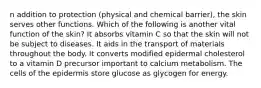 n addition to protection (physical and chemical barrier), the skin serves other functions. Which of the following is another vital function of the skin? It absorbs vitamin C so that the skin will not be subject to diseases. It aids in the transport of materials throughout the body. It converts modified epidermal cholesterol to a vitamin D precursor important to calcium metabolism. The cells of the epidermis store glucose as glycogen for energy.