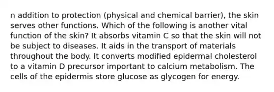 n addition to protection (physical and chemical barrier), the skin serves other functions. Which of the following is another vital function of the skin? It absorbs vitamin C so that the skin will not be subject to diseases. It aids in the transport of materials throughout the body. It converts modified epidermal cholesterol to a vitamin D precursor important to calcium metabolism. The cells of <a href='https://www.questionai.com/knowledge/kBFgQMpq6s-the-epidermis' class='anchor-knowledge'>the epidermis</a> store glucose as glycogen for energy.