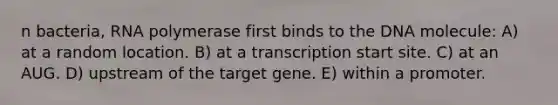 n bacteria, RNA polymerase first binds to the DNA molecule: A) at a random location. B) at a transcription start site. C) at an AUG. D) upstream of the target gene. E) within a promoter.