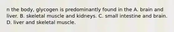 n the body, glycogen is predominantly found in the A. brain and liver. B. skeletal muscle and kidneys. C. small intestine and brain. D. liver and skeletal muscle.