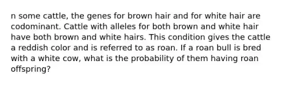 n some cattle, the genes for brown hair and for white hair are codominant. Cattle with alleles for both brown and white hair have both brown and white hairs. This condition gives the cattle a reddish color and is referred to as roan. If a roan bull is bred with a white cow, what is the probability of them having roan offspring?