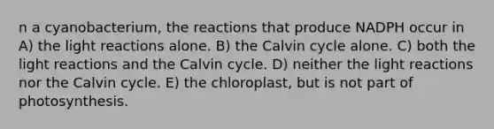 n a cyanobacterium, the reactions that produce NADPH occur in A) the light reactions alone. B) the Calvin cycle alone. C) both the light reactions and the Calvin cycle. D) neither the light reactions nor the Calvin cycle. E) the chloroplast, but is not part of photosynthesis.