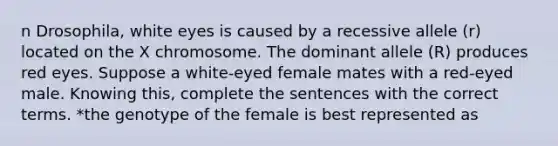 n Drosophila, white eyes is caused by a recessive allele (r) located on the X chromosome. The dominant allele (R) produces red eyes. Suppose a white-eyed female mates with a red-eyed male. Knowing this, complete the sentences with the correct terms. *the genotype of the female is best represented as