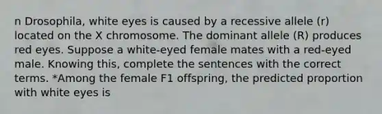 n Drosophila, white eyes is caused by a recessive allele (r) located on the X chromosome. The dominant allele (R) produces red eyes. Suppose a white-eyed female mates with a red-eyed male. Knowing this, complete the sentences with the correct terms. *Among the female F1 offspring, the predicted proportion with white eyes is