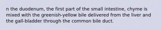 n the duodenum, the first part of <a href='https://www.questionai.com/knowledge/kt623fh5xn-the-small-intestine' class='anchor-knowledge'>the small intestine</a>, chyme is mixed with the greenish-yellow bile delivered from the liver and the gall-bladder through the common bile duct.