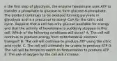 n the first step of glycolysis, the enzyme hexokinase uses ATP to transfer a phosphate to glucose to form glucose-6-phosphate. The product continues to be oxidized forming pyryvate in glycolysis and is a precursor to acetyl-CoA for the citric acid cycle. Suppose that a cell has only glucose available for energy and that the activity of hexokinase is suddenly stopped in this cell. Which of the following conditions will occur? A. The cell will continue to produce energy from mitochondrial electron transport B. The cell will continue to produce ATP using the citric acid cycle. C. The cell will ultimately be unable to produce ATP D. The cell will be forced to switch to fermentation to produce ATP. E. The use of oxygen by the cell will increase.