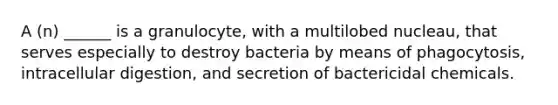 A (n) ______ is a granulocyte, with a multilobed nucleau, that serves especially to destroy bacteria by means of phagocytosis, intracellular digestion, and secretion of bactericidal chemicals.