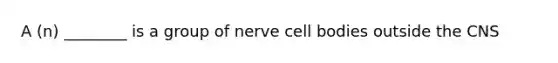 A (n) ________ is a group of nerve cell bodies outside the CNS