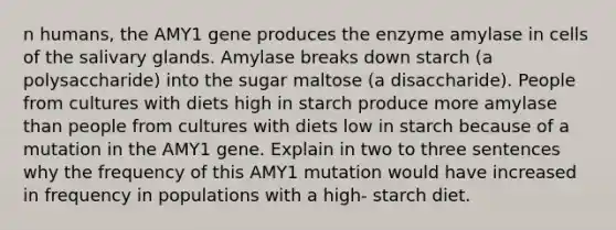 n humans, the AMY1 gene produces the enzyme amylase in cells of the salivary glands. Amylase breaks down starch (a polysaccharide) into the sugar maltose (a disaccharide). People from cultures with diets high in starch produce more amylase than people from cultures with diets low in starch because of a mutation in the AMY1 gene. Explain in two to three sentences why the frequency of this AMY1 mutation would have increased in frequency in populations with a high- starch diet.