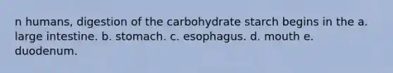 n humans, digestion of the carbohydrate starch begins in the a. <a href='https://www.questionai.com/knowledge/kGQjby07OK-large-intestine' class='anchor-knowledge'>large intestine</a>. b. stomach. c. esophagus. d. mouth e. duodenum.