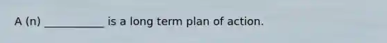 A (n) ___________ is a long term plan of action.