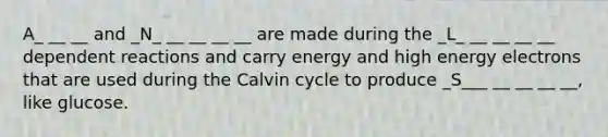 A_ __ __ and _N_ __ __ __ __ are made during the _L_ __ __ __ __ dependent reactions and carry energy and high energy electrons that are used during the Calvin cycle to produce _S___ __ __ __ __, like glucose.