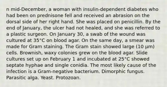 n mid-December, a woman with insulin-dependent diabetes who had been on prednisone fell and received an abrasion on the dorsal side of her right hand. She was placed on penicillin. By the end of January, the ulcer had not healed, and she was referred to a plastic surgeon. On January 30, a swab of the wound was cultured at 35°C on blood agar. On the same day, a smear was made for Gram staining. The Gram stain showed large (10 µm) cells. Brownish, waxy colonies grew on the blood agar. Slide cultures set up on February 1 and incubated at 25°C showed septate hyphae and single conidia. The most likely cause of the infection is a Gram-negative bacterium. Dimorphic fungus. Parasitic alga. Yeast. Protozoan.