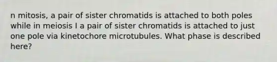 n mitosis, a pair of sister chromatids is attached to both poles while in meiosis I a pair of sister chromatids is attached to just one pole via kinetochore microtubules. What phase is described here?