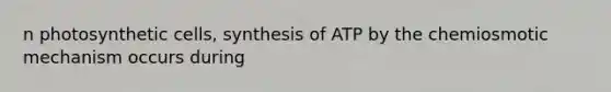 n photosynthetic cells, synthesis of ATP by the chemiosmotic mechanism occurs during