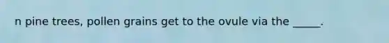 n pine trees, pollen grains get to the ovule via the _____.