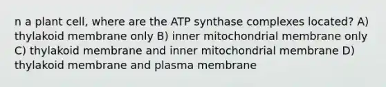 n a plant cell, where are the ATP synthase complexes located? A) thylakoid membrane only B) inner mitochondrial membrane only C) thylakoid membrane and inner mitochondrial membrane D) thylakoid membrane and plasma membrane