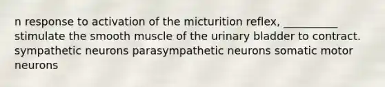 n response to activation of the micturition reflex, __________ stimulate the smooth muscle of the urinary bladder to contract. sympathetic neurons parasympathetic neurons somatic motor neurons