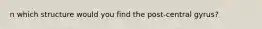 n which structure would you find the post-central gyrus?