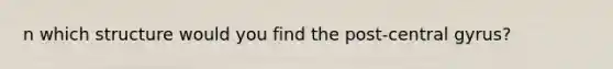 n which structure would you find the post-central gyrus?