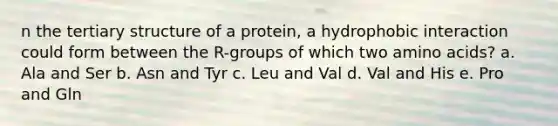 n the <a href='https://www.questionai.com/knowledge/kf06vGllnT-tertiary-structure' class='anchor-knowledge'>tertiary structure</a> of a protein, a hydrophobic interaction could form between the R-groups of which two <a href='https://www.questionai.com/knowledge/k9gb720LCl-amino-acids' class='anchor-knowledge'>amino acids</a>? a. Ala and Ser b. Asn and Tyr c. Leu and Val d. Val and His e. Pro and Gln