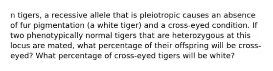 n tigers, a recessive allele that is pleiotropic causes an absence of fur pigmentation (a white tiger) and a cross-eyed condition. If two phenotypically normal tigers that are heterozygous at this locus are mated, what percentage of their offspring will be cross-eyed? What percentage of cross-eyed tigers will be white?