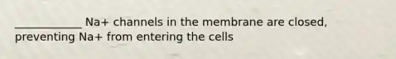 ____________ Na+ channels in the membrane are closed, preventing Na+ from entering the cells