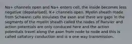 Na+ channels open and Na+ enters cell, the inside becomes less negative (depolarised). K+ channels open. Myelin sheath made from Schwann cells insulates the axon and there are gaps in the segments of the myelin sheath called the nodes of Ranvier and action potentials are only conduced here and the action potentials travel along the axon from node to node and this is called saltatory conduction and is a one way transmission.