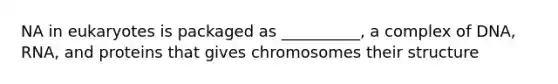 NA in eukaryotes is packaged as __________, a complex of DNA, RNA, and proteins that gives chromosomes their structure