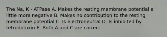 The Na, K - ATPase A. Makes the resting membrane potential a little more negative B. Makes no contribution to the resting membrane potential C. Is electroneutral D. Is inhibited by tetrodotoxin E. Both A and C are correct