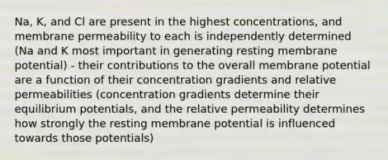 Na, K, and Cl are present in the highest concentrations, and membrane permeability to each is independently determined (Na and K most important in generating resting membrane potential) - their contributions to the overall membrane potential are a function of their concentration gradients and relative permeabilities (concentration gradients determine their equilibrium potentials, and the relative permeability determines how strongly the resting membrane potential is influenced towards those potentials)