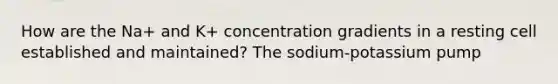 How are the Na+ and K+ concentration gradients in a resting cell established and maintained? The sodium-potassium pump