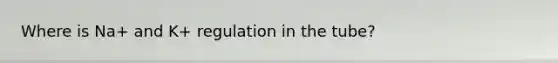 Where is Na+ and K+ regulation in the tube?