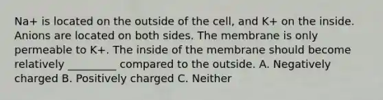 Na+ is located on the outside of the cell, and K+ on the inside. Anions are located on both sides. The membrane is only permeable to K+. The inside of the membrane should become relatively _________ compared to the outside. A. Negatively charged B. Positively charged C. Neither