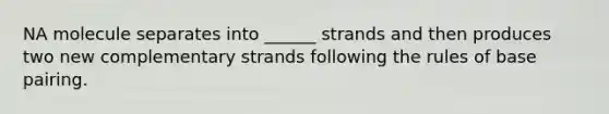 NA molecule separates into ______ strands and then produces two new complementary strands following the rules of base pairing.