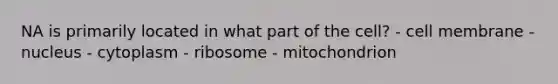 NA is primarily located in what part of the cell? - cell membrane - nucleus - cytoplasm - ribosome - mitochondrion