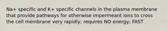 Na+ specific and K+ specific channels in the plasma membrane that provide pathways for otherwise impermeant ions to cross the cell membrane very rapidly; requires NO energy; FAST