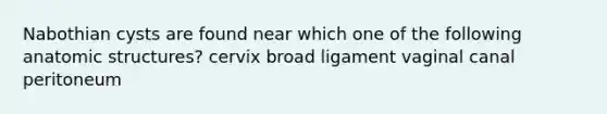 Nabothian cysts are found near which one of the following anatomic structures? cervix broad ligament vaginal canal peritoneum