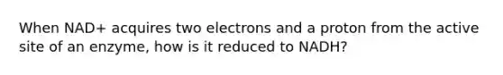 When NAD+ acquires two electrons and a proton from the active site of an enzyme, how is it reduced to NADH?