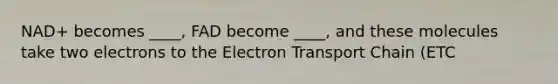 NAD+ becomes ____, FAD become ____, and these molecules take two electrons to the Electron Transport Chain (ETC