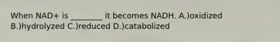 When NAD+ is ________ it becomes NADH. A.)oxidized B.)hydrolyzed C.)reduced D.)catabolized