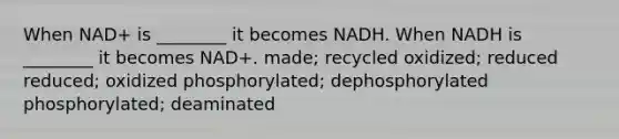 When NAD+ is ________ it becomes NADH. When NADH is ________ it becomes NAD+. made; recycled oxidized; reduced reduced; oxidized phosphorylated; dephosphorylated phosphorylated; deaminated